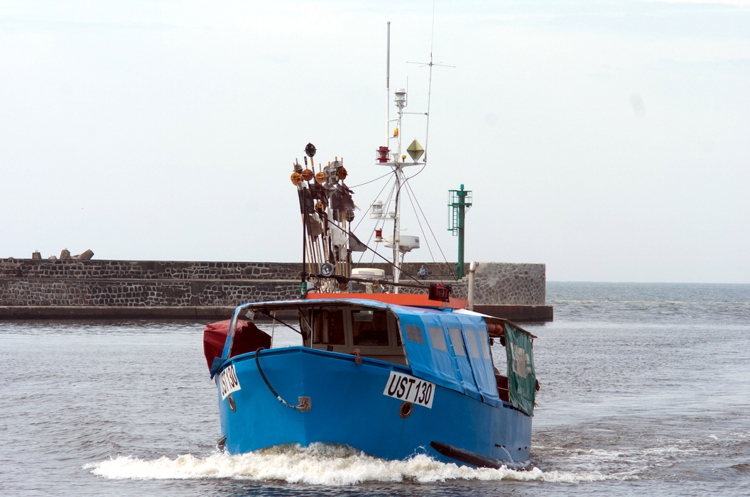 Pomoc dla rybaków - zakaz połowy dorsza
